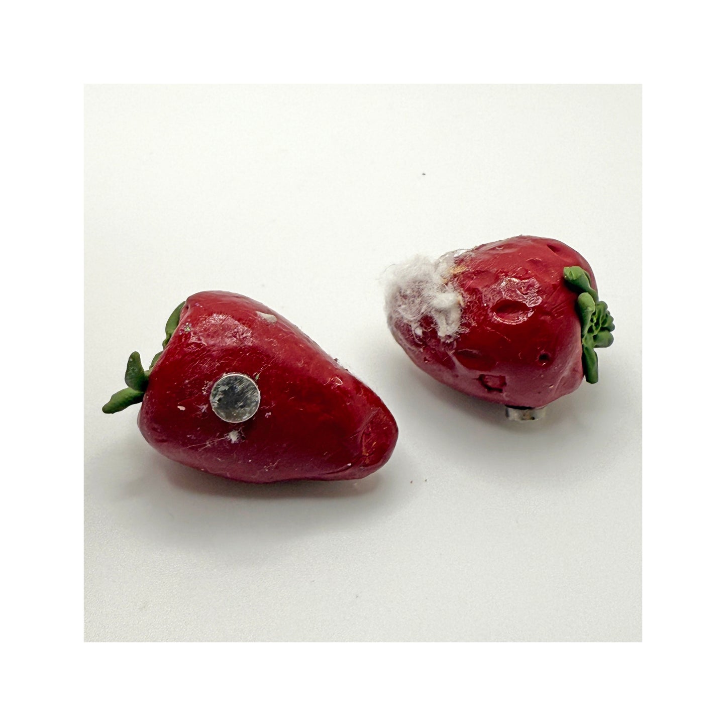 Moldy Strawberries Magnet