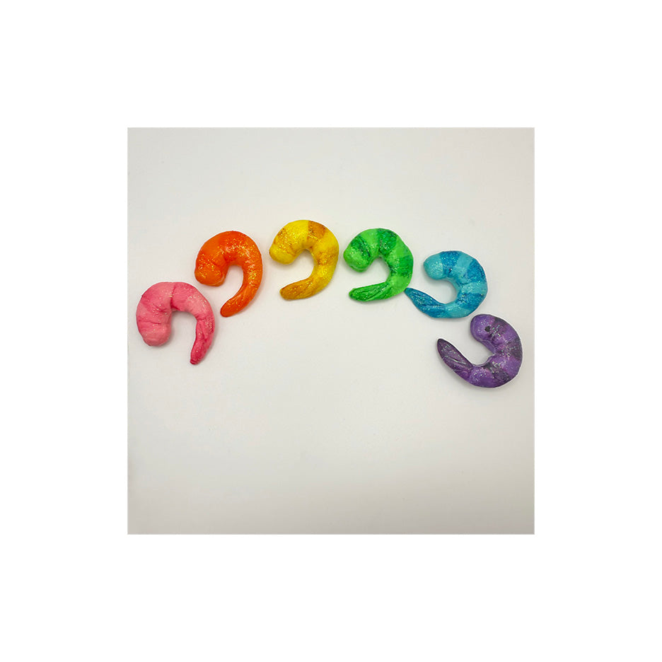 Rainbow Shrimp Magnet Set