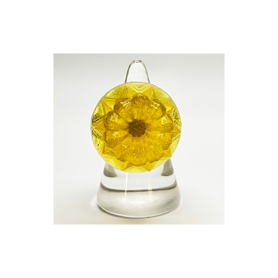 Every Flavor Adjustable Jelly Rings