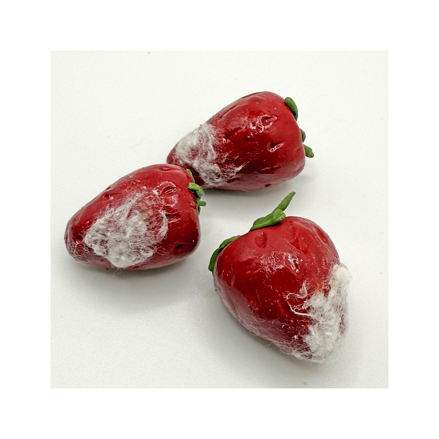 Moldy Strawberries Magnet