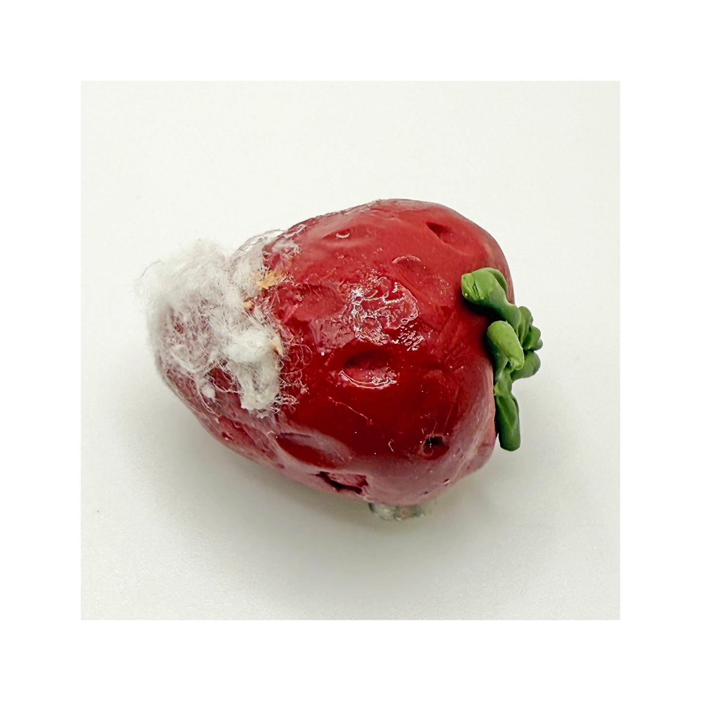 Moldy Strawberries Magnet