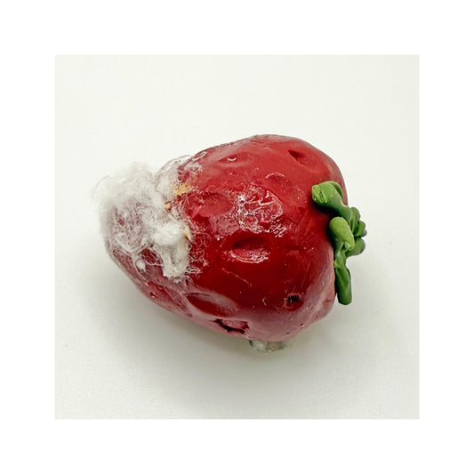 Moldy Strawberries Magnet